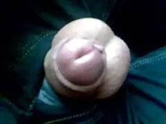 શિક્ષકને મોટા ટિટ્સ સાથે વિદ્યાર્થીના ક્રૂર ચુંબન બીપી સેકસી વીડીયો બતાવો ગમ્યું