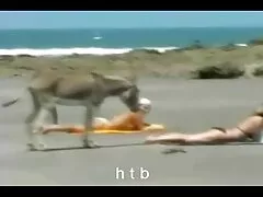 છિદ્રમાં એક મજબૂત ટોટી કુશળ મોં અને સરસ સેકસી બીપી ઓપન ગધેડો સાથે પીરસવામાં આવે છે